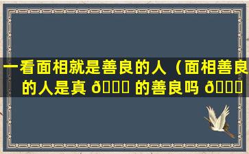 一看面相就是善良的人（面相善良的人是真 🍁 的善良吗 🐟 ）